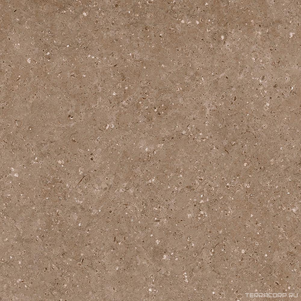 Керамогранит Гранитея Аркаим Arkaim Brown G214/ коричневый мат . 60x60 Коричневый, фото 4
