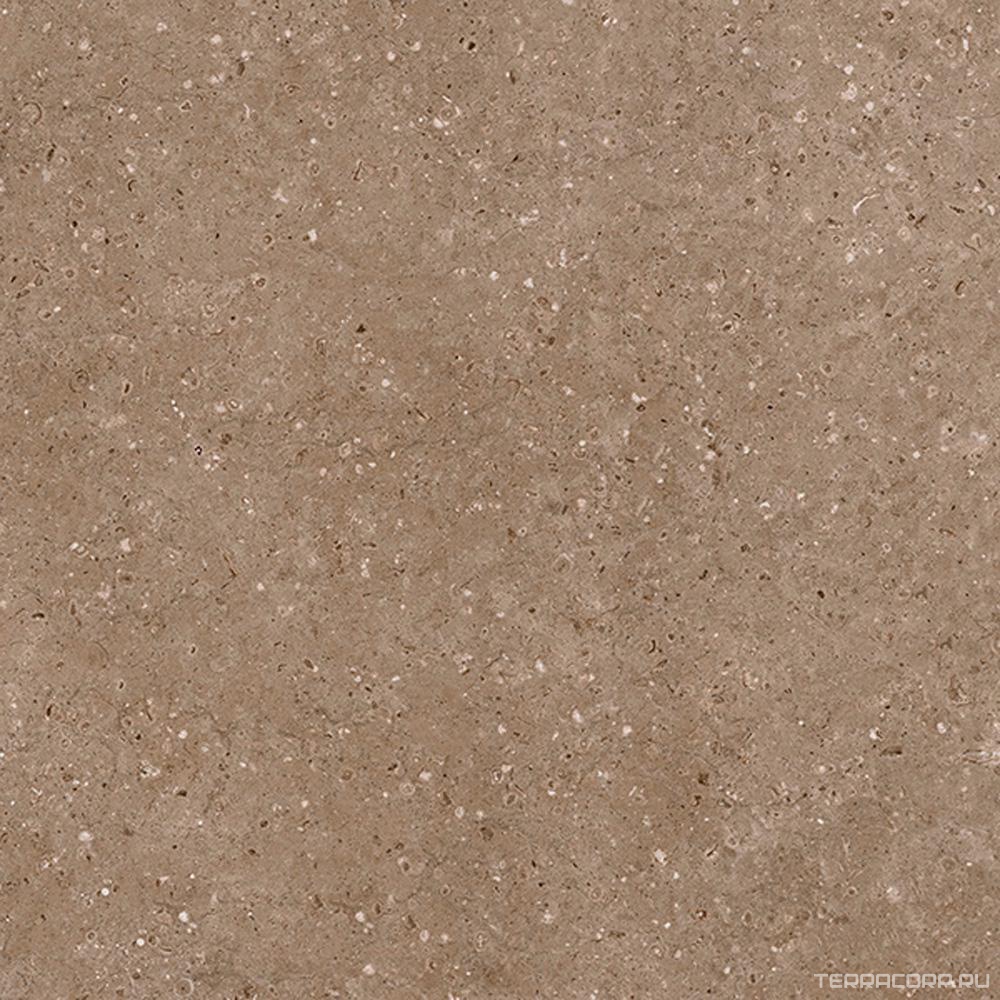 Керамогранит Гранитея Аркаим Arkaim Brown G214/ коричневый мат . 60x60 Коричневый, фото 6