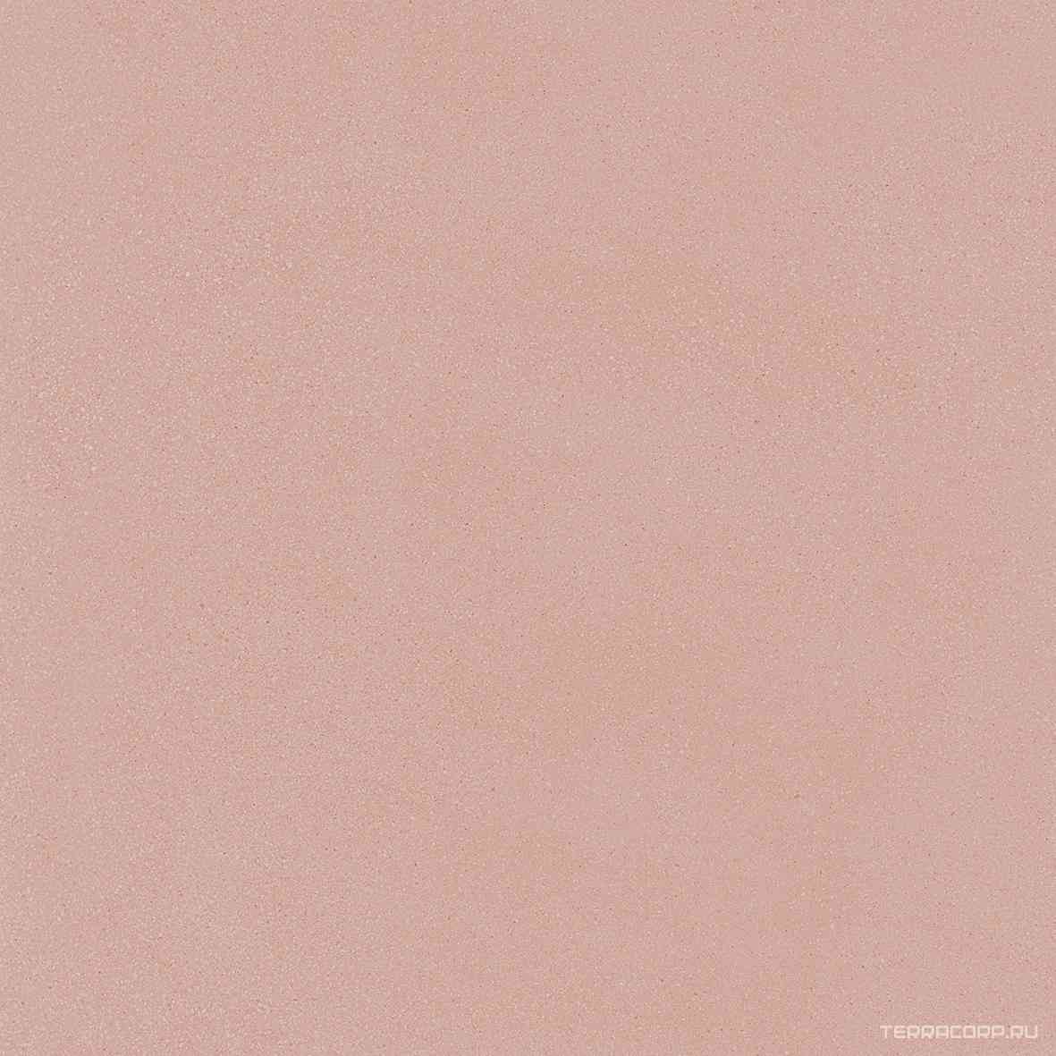 Pink Minimal Nat. Rett.ZZ|60x60