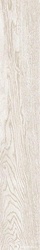 Legno 2012W RM  20x120 XX