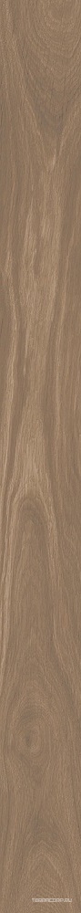Подступенок коричневый матовый обрезной 10.7x119.5 Kerama Marazzi Монтиони Бежевый, фото 6