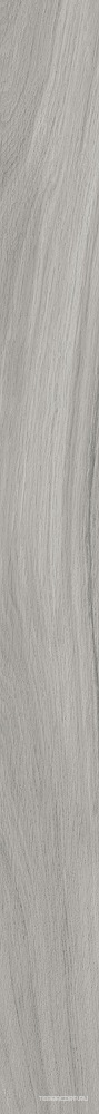 Подступенок серый матовый обрезной 10.7x119.5 Kerama Marazzi Монтиони Бежевый, фото 6