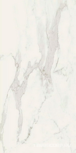 Керамогранит Florim Stones & More 2.0 Stone Calacatta Smooth Rett. 60x120 Белый 