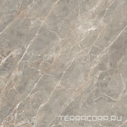 Etoile Gris Glossy ZZ 120x120