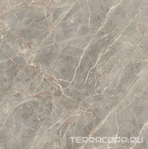 Керамогранит Florim Magnum Etoile De Rex Etoile Gris Glossy 120x120 Серый 