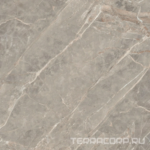 Керамогранит Florim Magnum Etoile De Rex Etoile Gris Glossy 120x120 Серый 