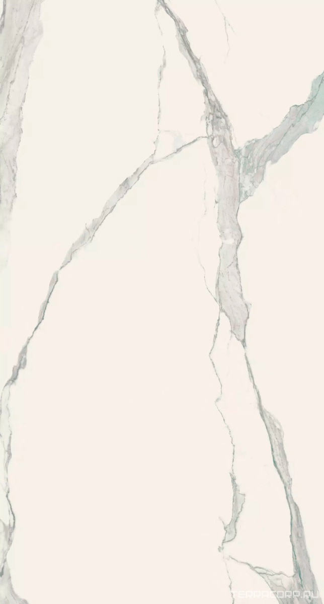 Керамогранит Florim Magnum I Classici di Rex Statuario Soft 120x240 Серый, фото 7