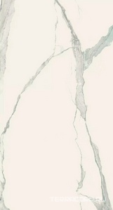 Керамогранит Florim Magnum I Classici di Rex Statuario Soft  120x240 Серый 