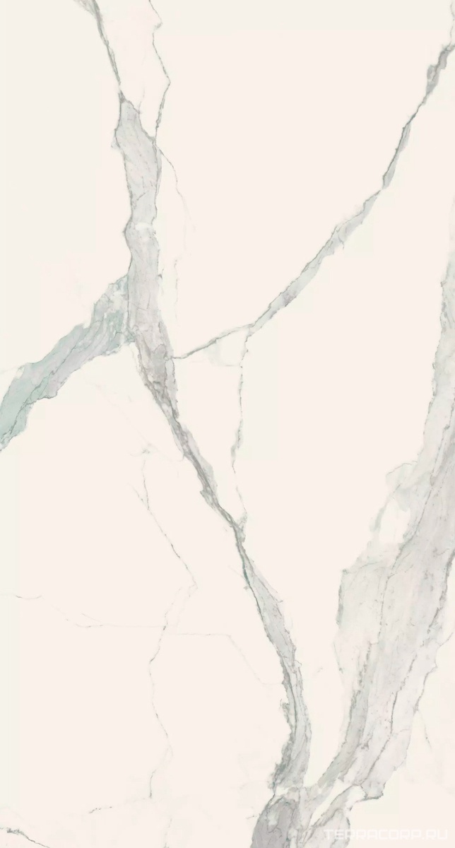 Керамогранит Florim Magnum I Classici di Rex Statuario Soft 120x240 Серый, фото 4