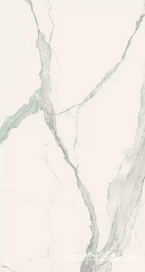 Керамогранит Florim Magnum I Classici di Rex Statuario Soft  120x240 Серый 