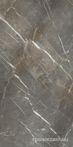 Керамогранит La Faenza Aesthetica AE COL6 12 LP (п.п) 60x120 Коричневый 