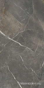 Керамогранит La Faenza Aesthetica AE COL6 12 LP (п.п) 60x120 Коричневый 