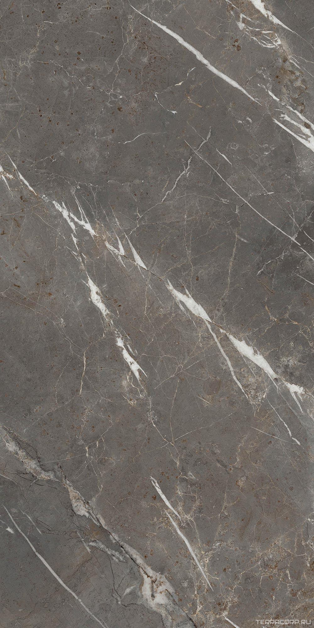 Керамогранит La Faenza Aesthetica AE COL6 12 LP (п.п) 60x120 Коричневый, фото 7