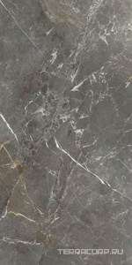 Керамогранит La Faenza Aesthetica AE COL6 12 LP (п.п) 60x120 Коричневый 