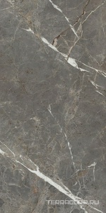 Керамогранит La Faenza Aesthetica AE COL6 12 LP (п.п) 60x120 Коричневый 