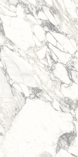 Керамогранит Ariostea Marmi Classici Arabescato Classico Luc 60x120 Белый, фото 5