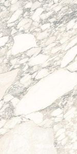 Керамогранит Ariostea Marmi Classici Arabescato Classico Luc 60x120 Белый 