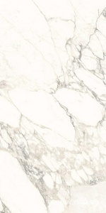 Керамогранит Ariostea Marmi Classici Arabescato Classico Luc 60x120 Белый 