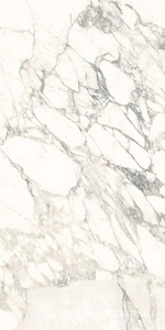 Керамогранит Ariostea Marmi Classici Arabescato Classico Luc 60x120 Белый 