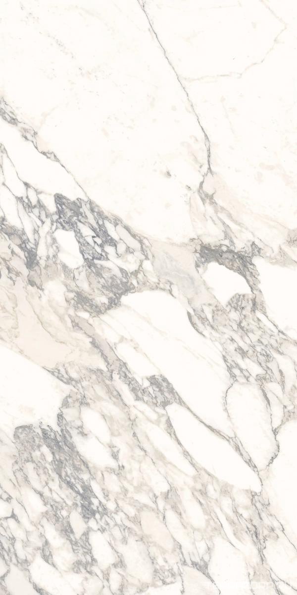 Керамогранит Ariostea Marmi Classici Arabescato Classico Luc 60x120 Белый, фото 6