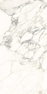 Керамогранит Ariostea Marmi Classici Arabescato Classico Luc 60x120 Белый 