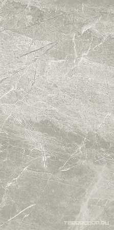 Nuance Grey Lap Rett ZZ|59x118
