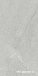 Керамогранит Ariostea Marmi Classici Gris De Savoie Soft 60x120 Серый 