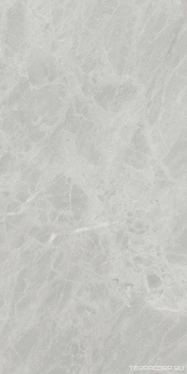 Керамогранит Ariostea Marmi Classici Gris De Savoie Soft 60x120 Серый, фото 5