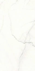 Керамогранит Ariostea Marmi Classici Calacatta Lincoln Soft 60x120 Белый 
