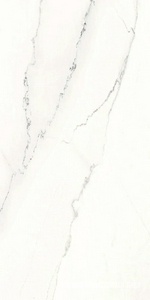 Керамогранит Ariostea Marmi Classici Calacatta Lincoln Soft 60x120 Белый 