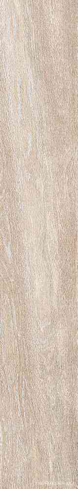 Legno 2012B RM  20x120