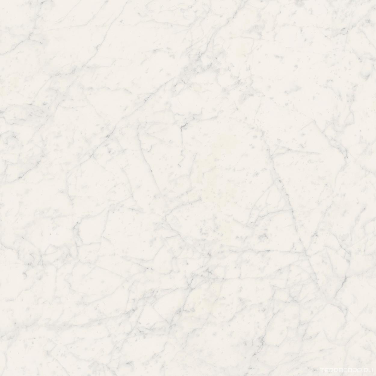 Керамогранит Fioranese Marmorea Bianco Gioia Matt Rett (п.п) 60x60 Белый, фото 3