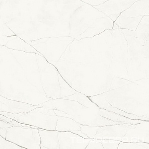 Керамогранит Imola The Room STA VP6 60 RM (п.п.)ZZ l60x60 Белый 