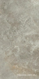 Керамогранит Ariostea Marmi Classici Fior di Bosco luc 60x120 Серый 