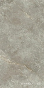 Керамогранит Ariostea Marmi Classici Fior di Bosco luc 60x120 Серый 