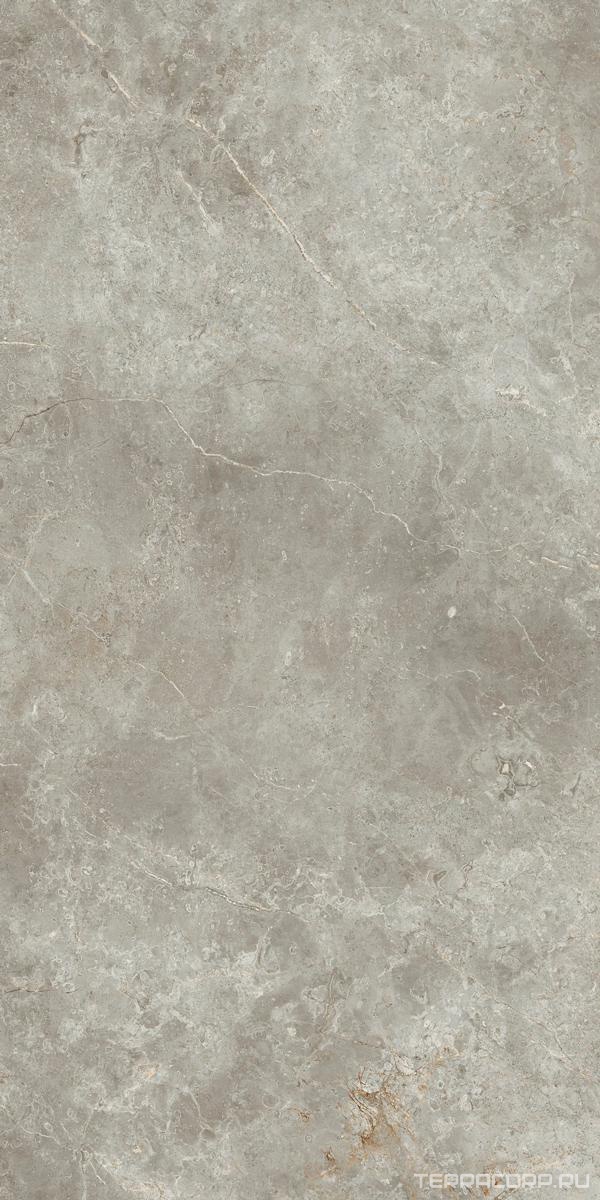 Керамогранит Ariostea Marmi Classici Fior di Bosco luc 60x120 Серый, фото 5
