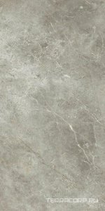 Керамогранит Ariostea Marmi Classici Fior di Bosco luc 60x120 Серый 