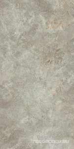 Керамогранит Ariostea Marmi Classici Fior di Bosco luc 60x120 Серый 