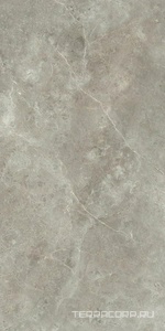 Керамогранит Ariostea Marmi Classici Fior di Bosco luc 60x120 Серый 