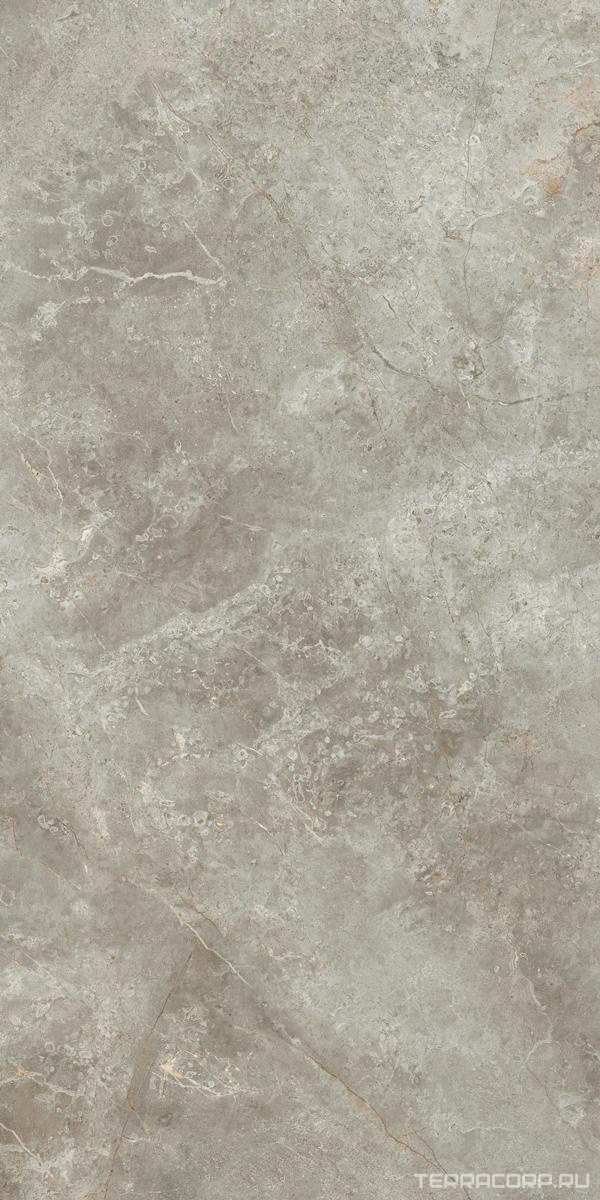 Керамогранит Ariostea Marmi Classici Fior di Bosco luc 60x120 Серый, фото 4