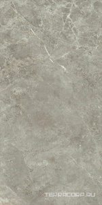 Керамогранит Ariostea Marmi Classici Fior di Bosco luc 60x120 Серый 