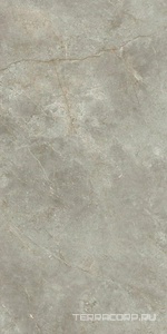 Керамогранит Ariostea Marmi Classici Fior di Bosco luc 60x120 Серый 