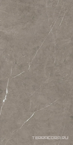 Керамогранит Benadresa Tessino  Grey Pulido 60x120 Серый 