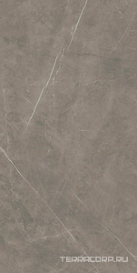 Керамогранит Benadresa Tessino  Grey Pulido 60x120 Серый 