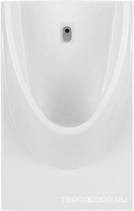 Писсуар, 458x270xh735мм, подвод воды сзади (из стены), сифон, диффузор, крепеж в компл.,  ZZ Sanindusa Modo 108530004