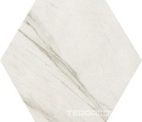 Roma Statuario Esagono ZZ I21.6x25