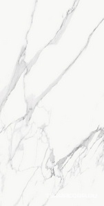 Керамогранит Emil Ceramica Tele di Marmo Statuario Michelangelo Luc Ret 60x120 Белый 