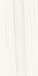 Zebrino Bianco Luc |60x120