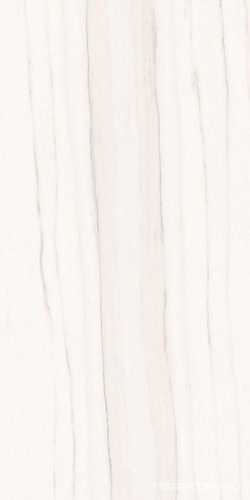 Zebrino Bianco Luc |60x120