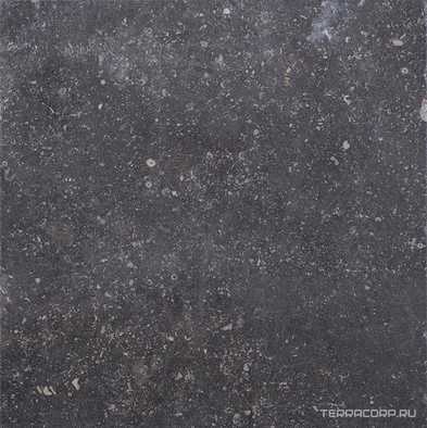 Ardenne Nero 40х40
